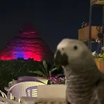 Pyramids Top View